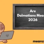 Are Dalmatians Mean? 2026