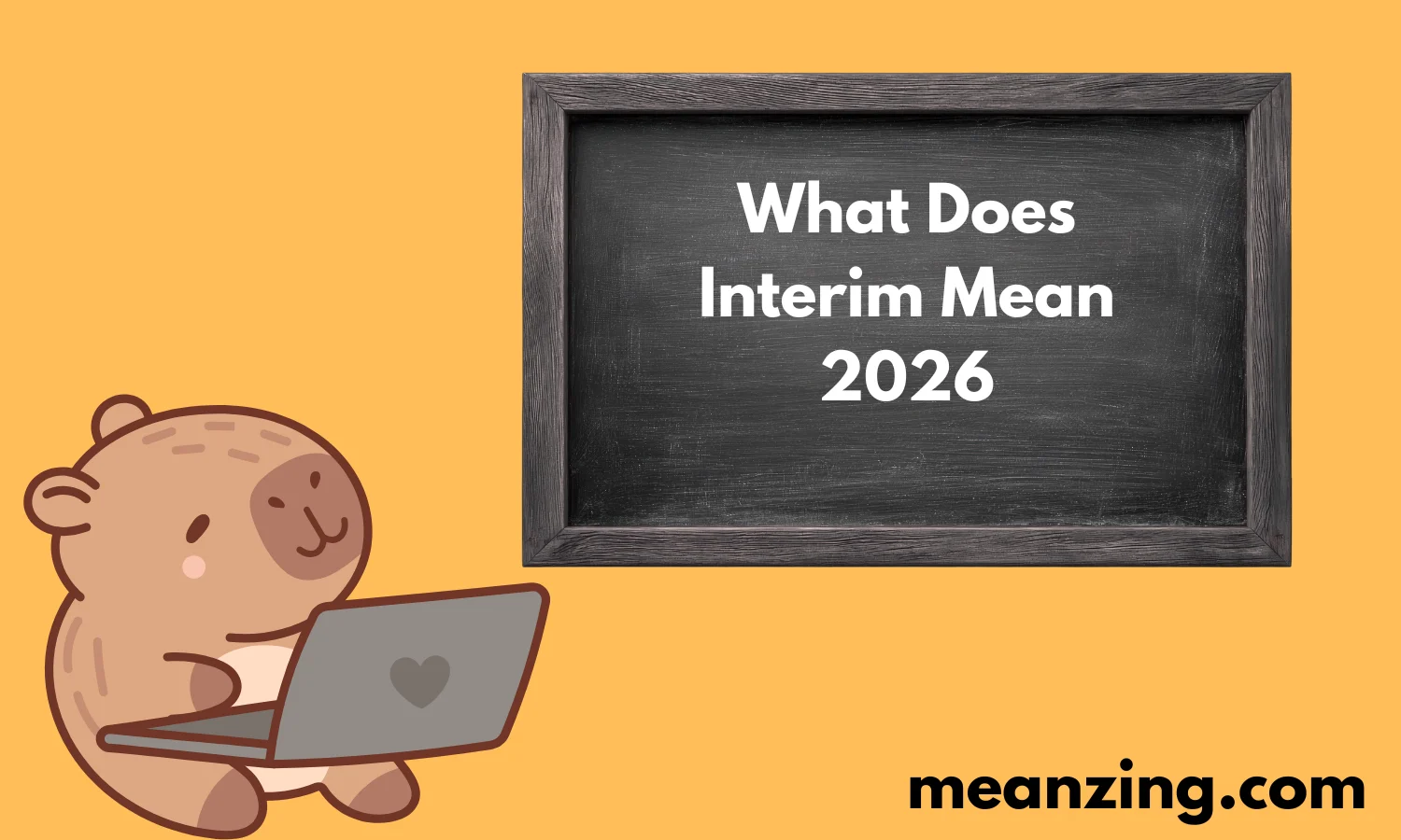 What Does Interim Mean