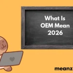 What Is OEM Mean