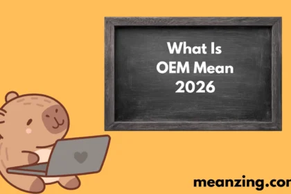 What Is OEM Mean
