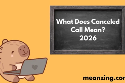 Call Mean?2026