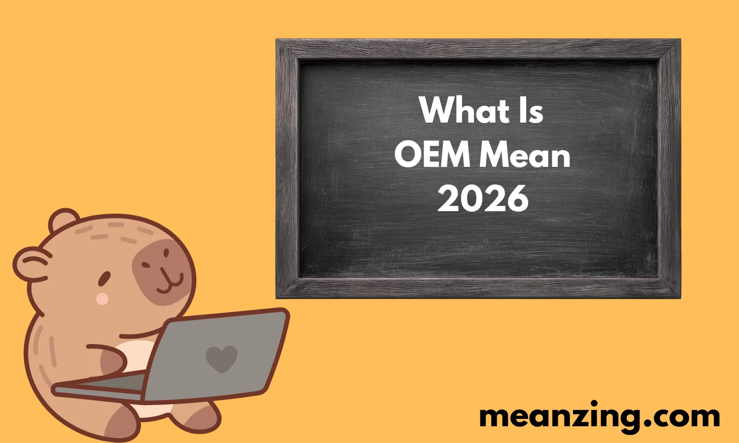 What Is OEM Mean