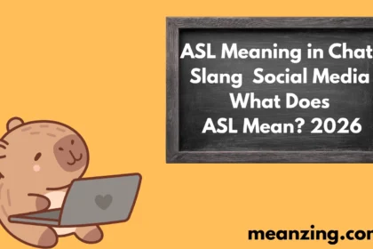 ASL Meaning in Chat,2026