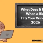 Bird Hits 2026