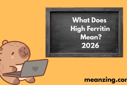 High Ferritin Mean2026?