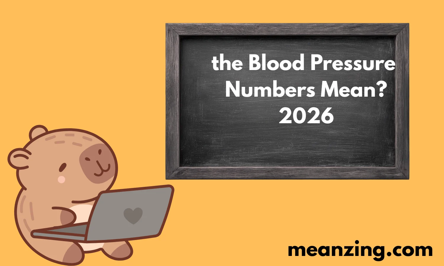 Blood Pressure 2026
