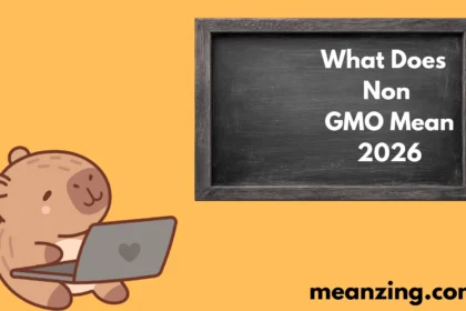 What Does Non GMO Mean? 2026