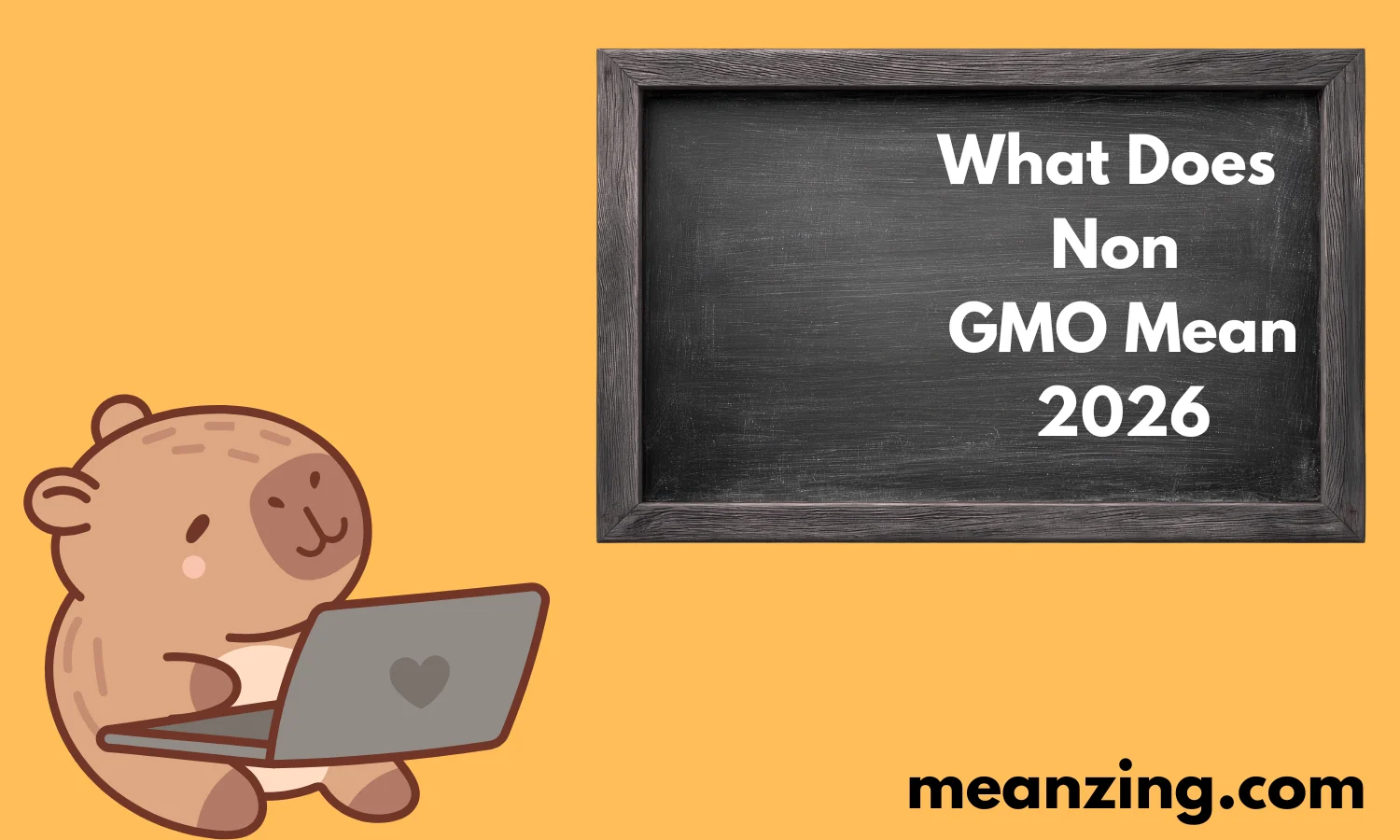 What Does Non GMO Mean? 2026
