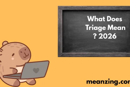 What Does Triage Mean? 2026