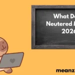 What Does Neutered Mean?2026