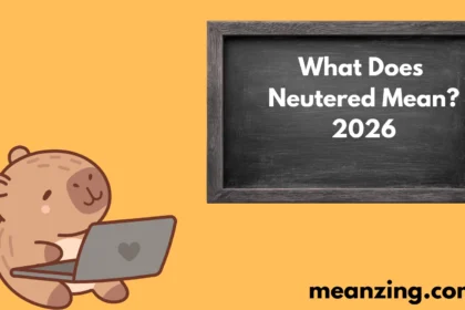 What Does Neutered Mean?2026
