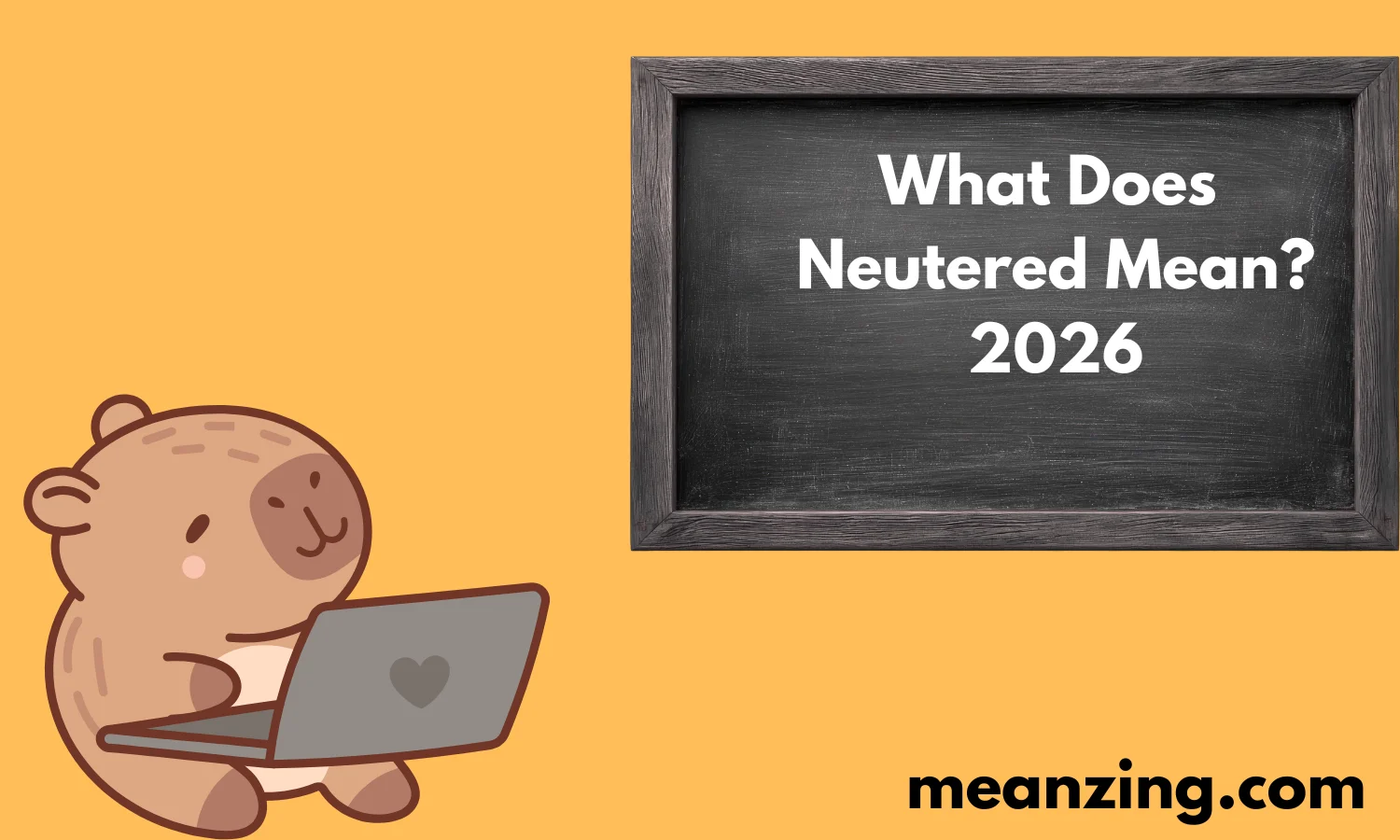What Does Neutered Mean?2026