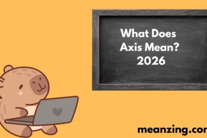 Axis Mean? 2026