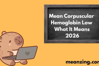 Corpuscular Hemoglobin2026