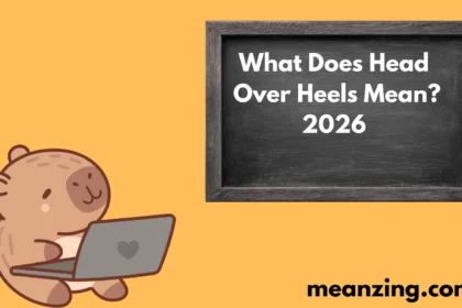 Heels Mean? 2026