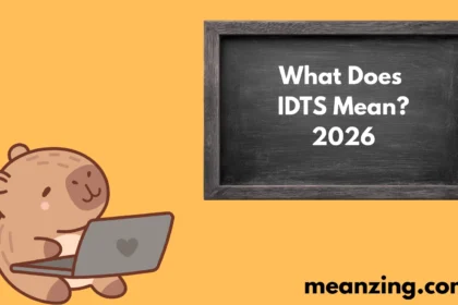 IDTS Mean? 2026