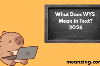 WYS Mean in Text? 2026
