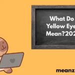 Yellow Eyes Mean?2026