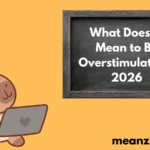 Mean to Be Overstimulated? 2026