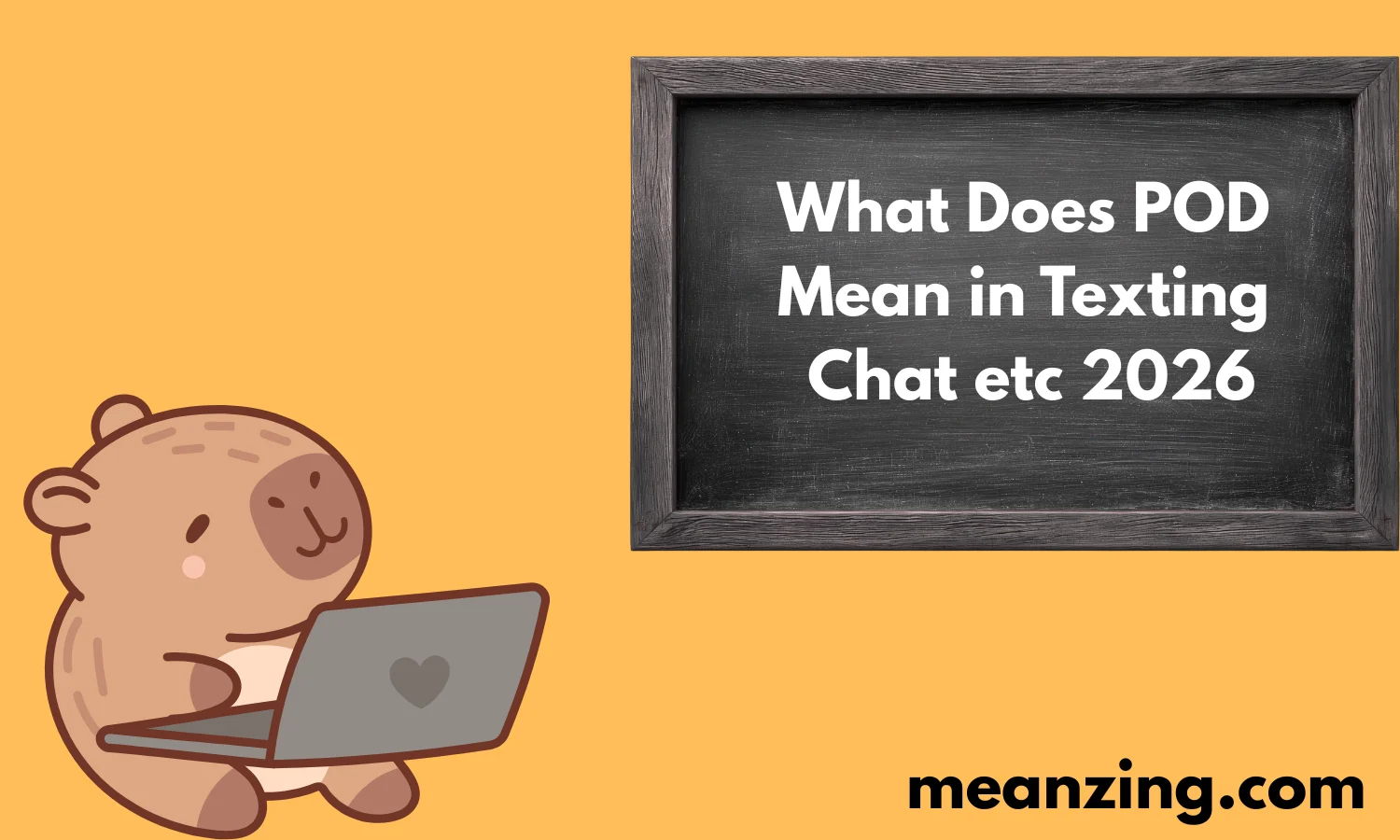 What Does POD Mean in Texting, Chat etc 2026