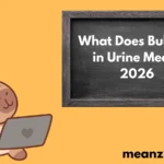 Urine Mean?2026