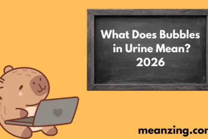Urine Mean?2026