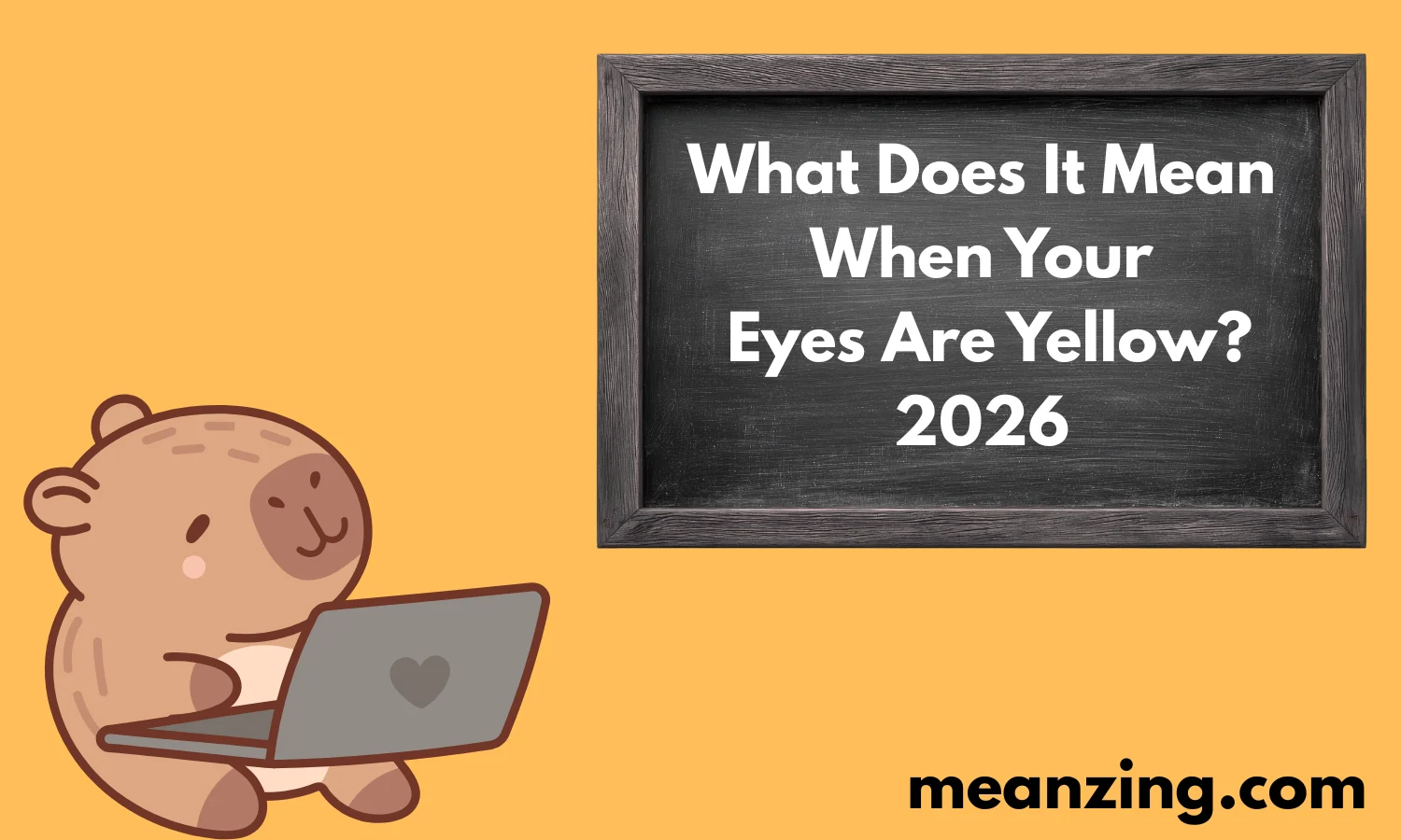 Eyes Are Yellow? 2026