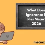 Ignorance Is Bliss2026