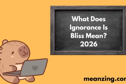 Ignorance Is Bliss2026