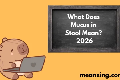 Mucus in Stool2026