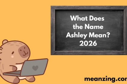 Ashley Mean? 2026