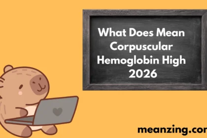 Mean Corpuscular 2026