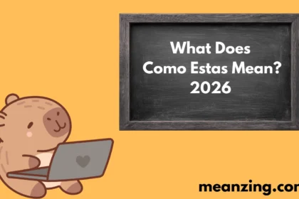 Estas Mean?2026