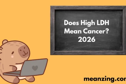 LDH Mean2026