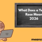 Yellow Rose Mean2026