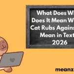 Cat Rubs2026