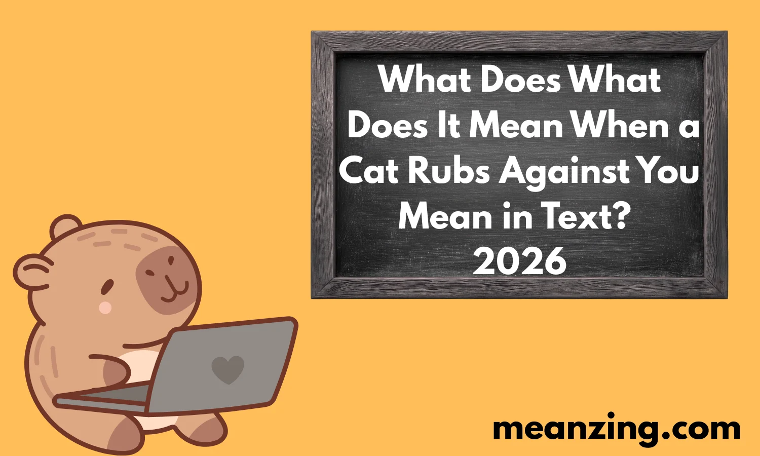 Cat Rubs2026