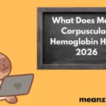 Mean Corpuscular 2026