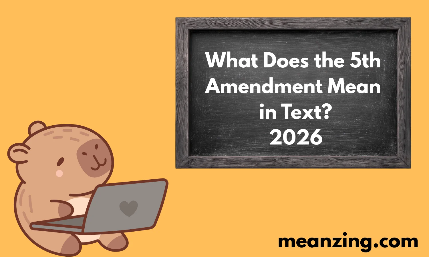 5th Amendment Mean 2026