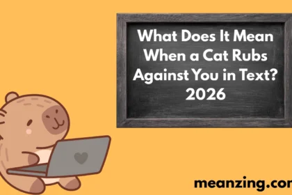 Cat Rubs Against2026