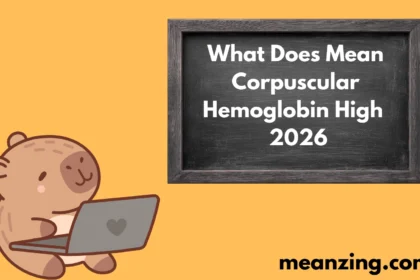 Mean Corpuscular 2026