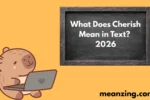 Cherish Mean2026