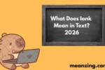 Ionk Mean2026