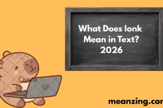 Ionk Mean2026