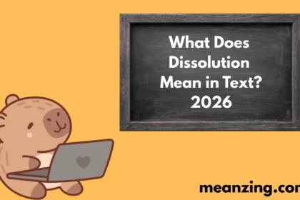 Dissolution Mean2026